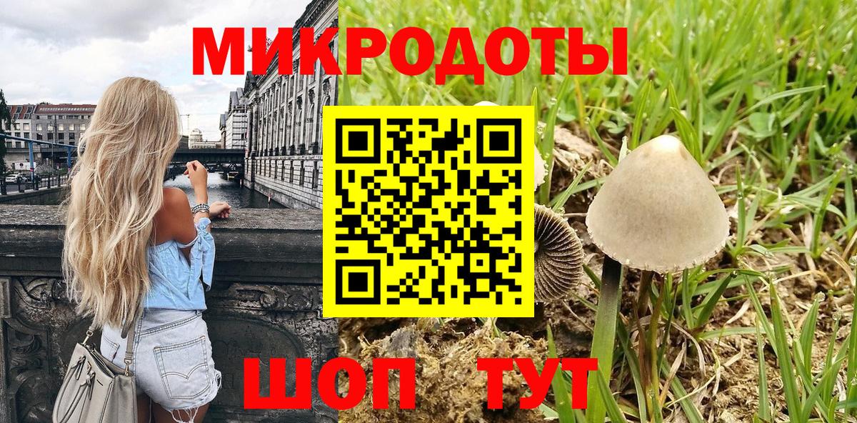 Псилоцибиновые грибы GOLDEN TEACHER  Вход с VPN  Алексин 