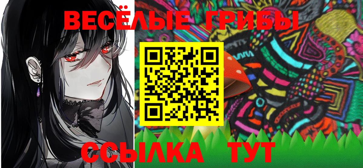 Галлюциногенные грибы Psilocybe Алексин